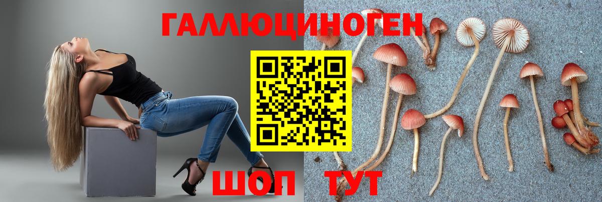 Галлюциногенные грибы мухоморы  Вход с VPN  Славянск-на-Кубани  Псилоцибиновые грибы GOLDEN TEACHER 